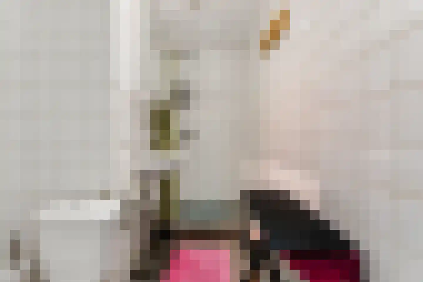 Mijnsherenlaan 37 D Rotterdam thumbnail 19