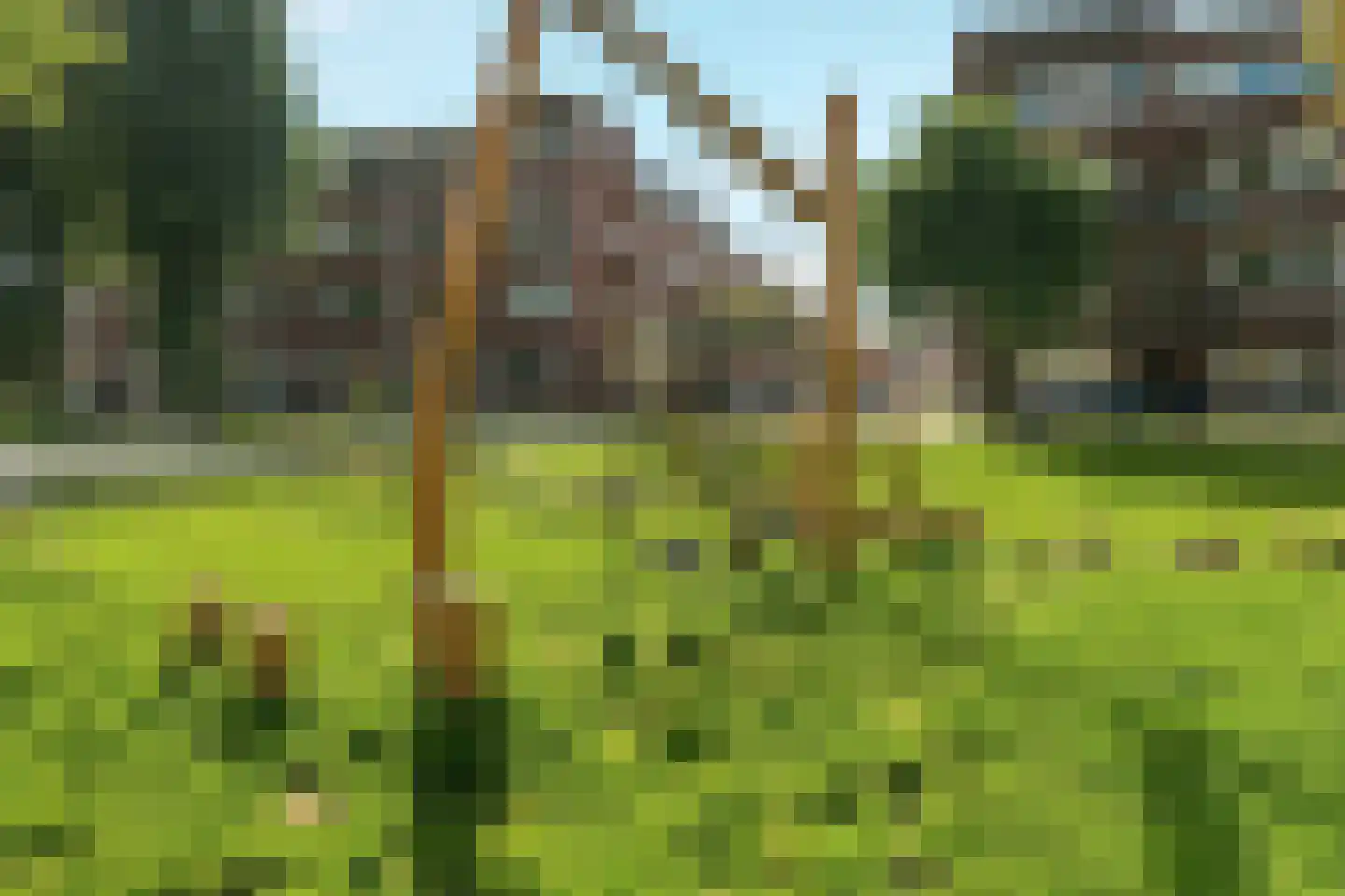Mijnsherenlaan 37 D Rotterdam thumbnail 23