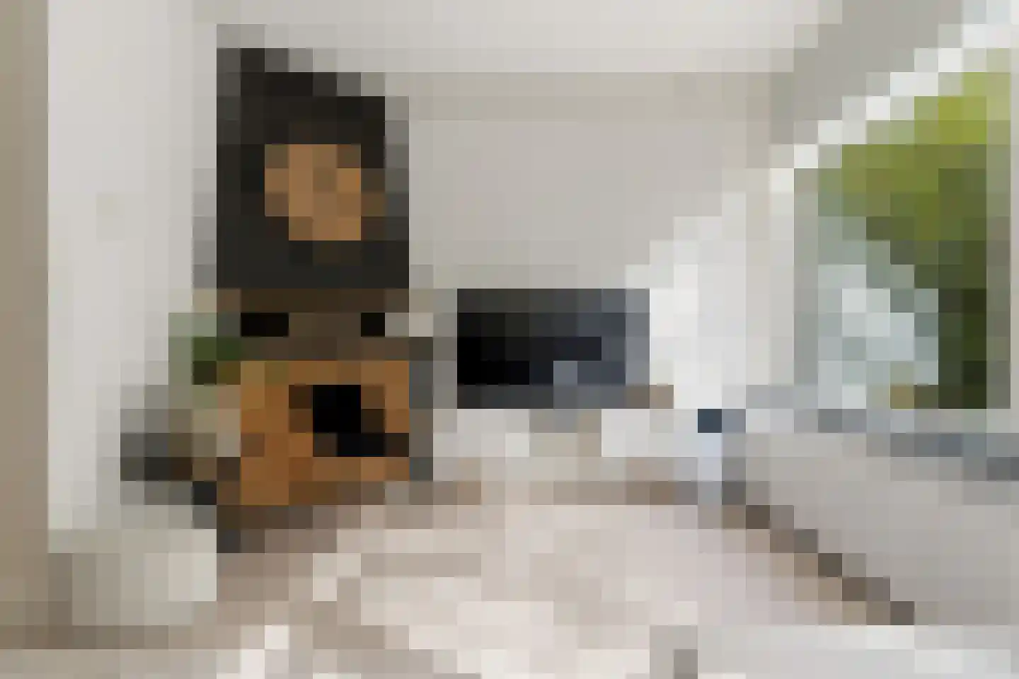 Mijnsherenlaan 37 D Rotterdam thumbnail 6