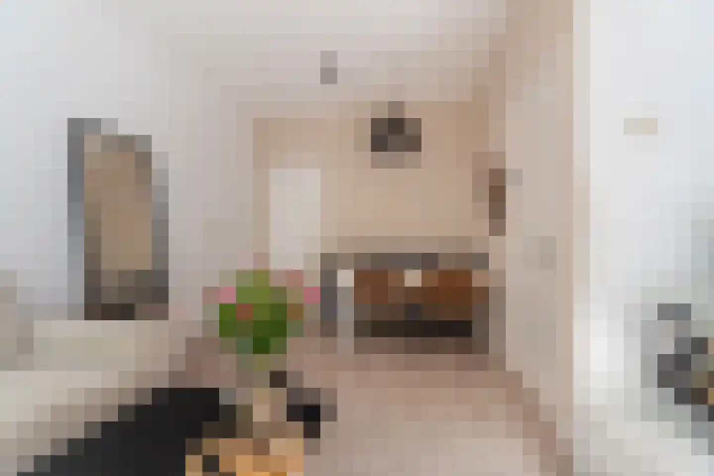 Mijnsherenlaan 37 D Rotterdam thumbnail 7
