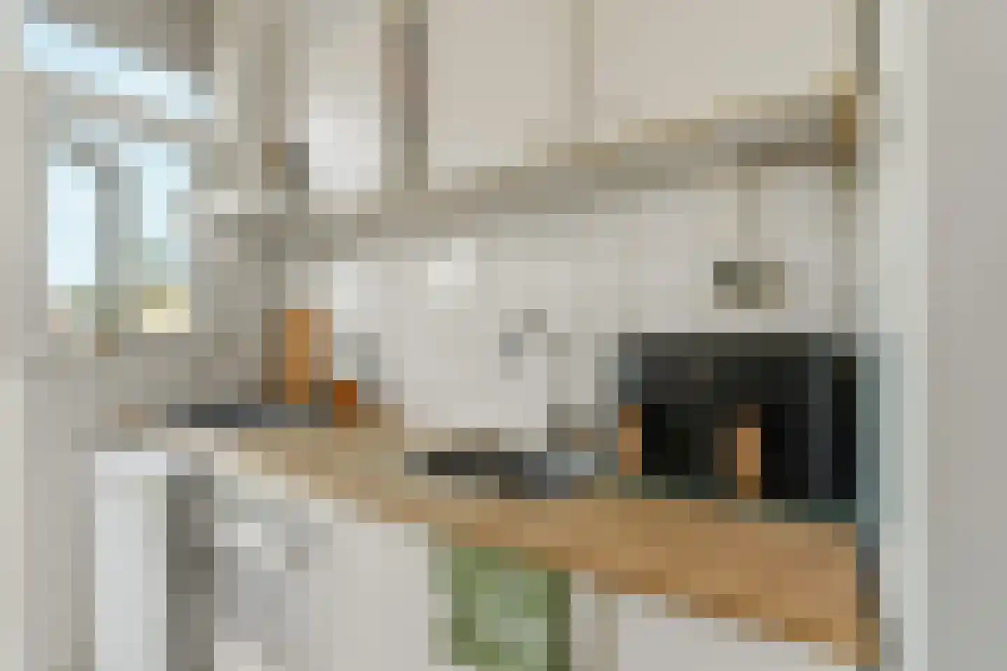 Mijnsherenlaan 37 D Rotterdam thumbnail 9