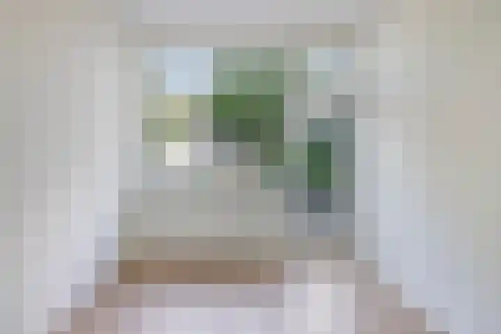 Mijnsherenlaan 39 D Rotterdam thumbnail 12
