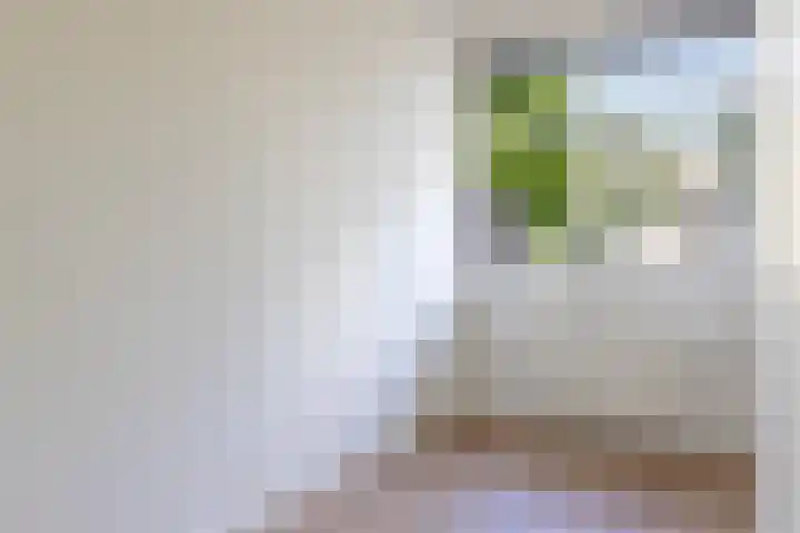 Mijnsherenlaan 39 D Rotterdam thumbnail 17