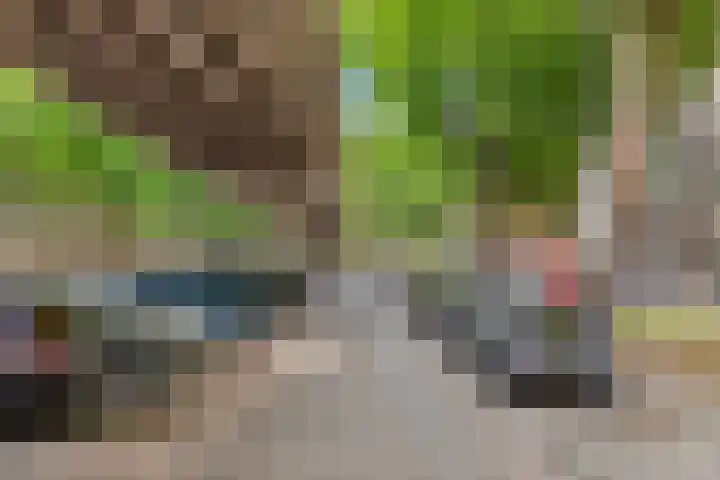 Mijnsherenlaan 39 D Rotterdam thumbnail 25