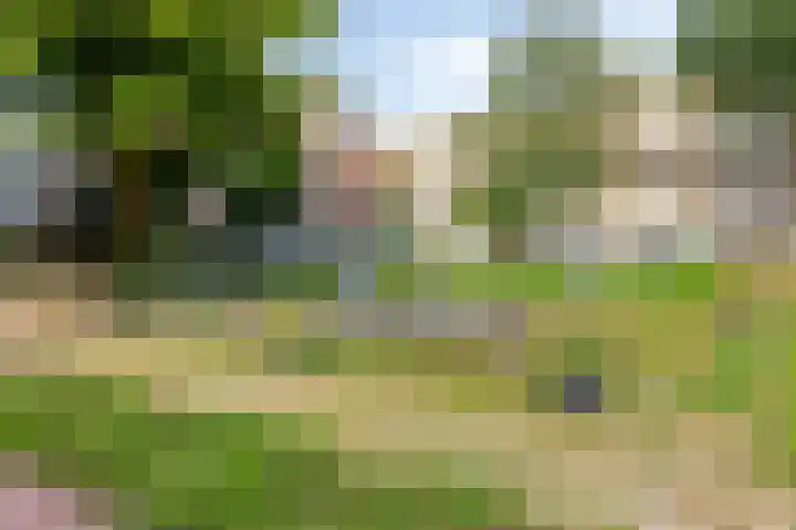 Mijnsherenlaan 39 D Rotterdam thumbnail 26