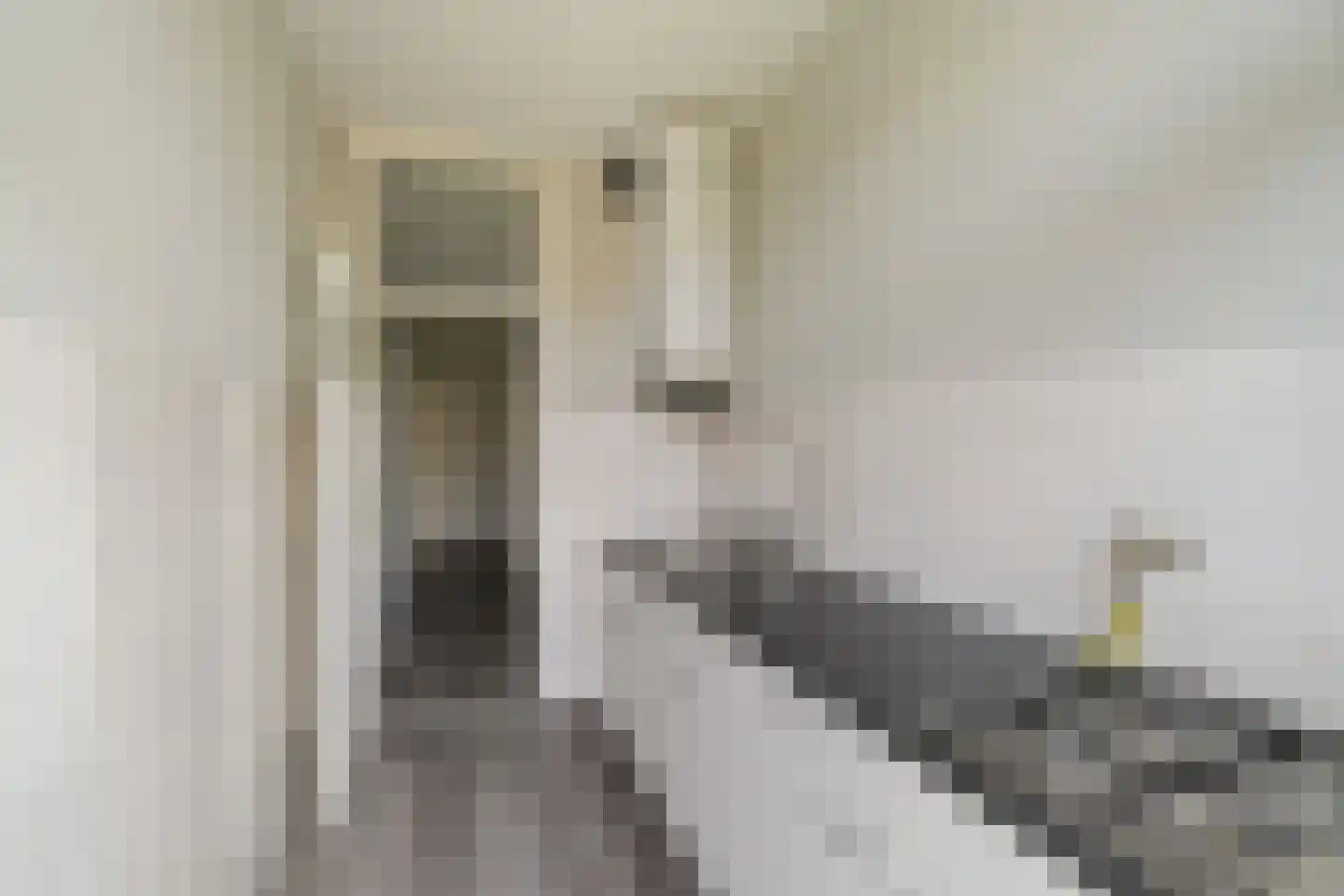 Mijnsherenlaan 43 B Rotterdam thumbnail 5