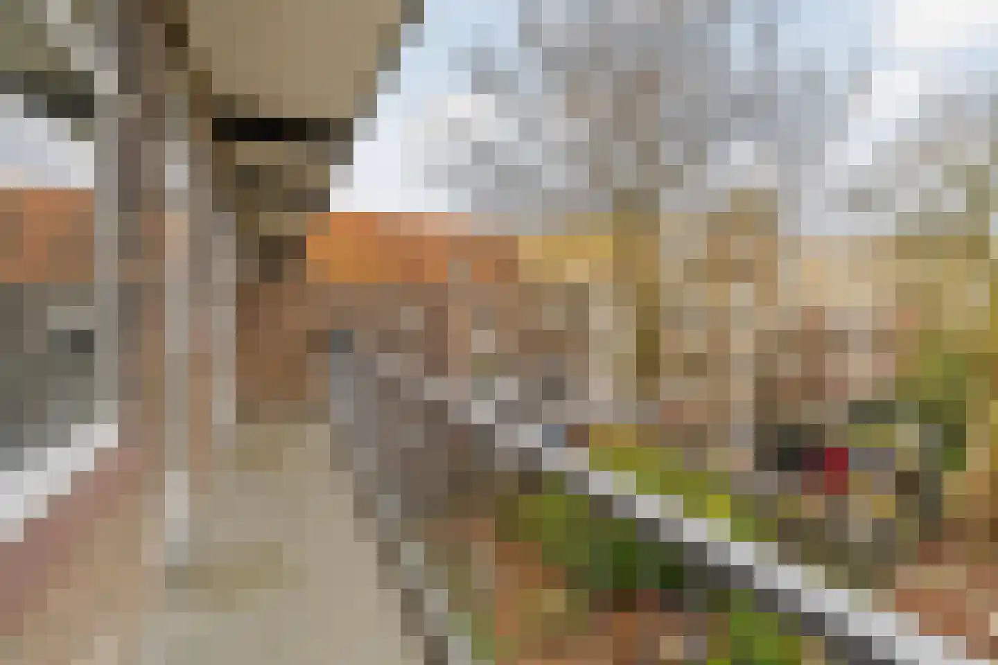 Mijnsherenlaan 43 C Rotterdam thumbnail 16