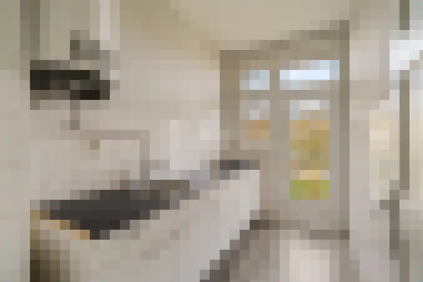 Mijnsherenlaan 43 C Rotterdam thumbnail 4