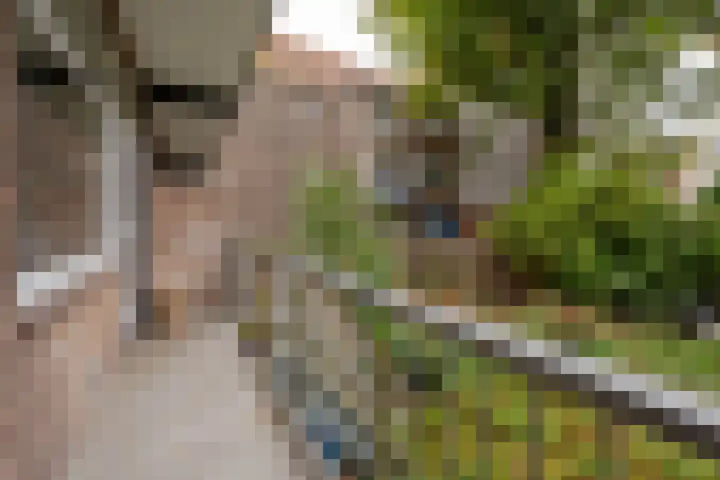 Mijnsherenlaan 45 A Rotterdam thumbnail 12