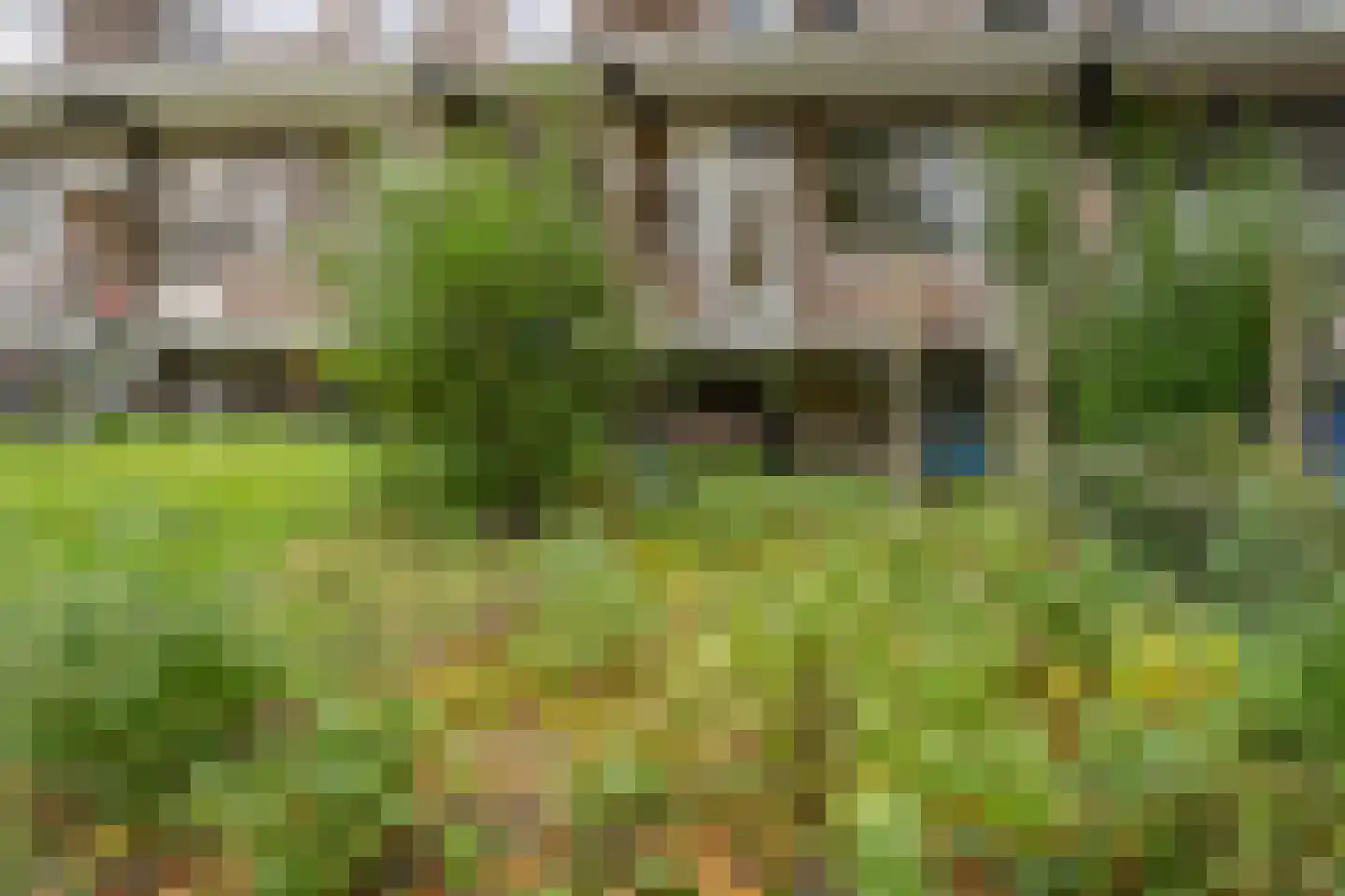 Mijnsherenlaan 45 A Rotterdam thumbnail 24