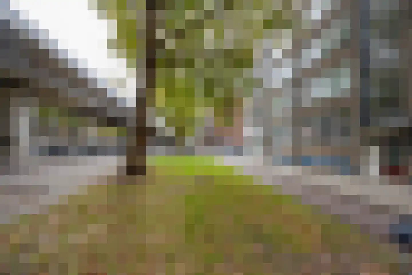 Mijnsherenlaan 45 B Rotterdam thumbnail 6