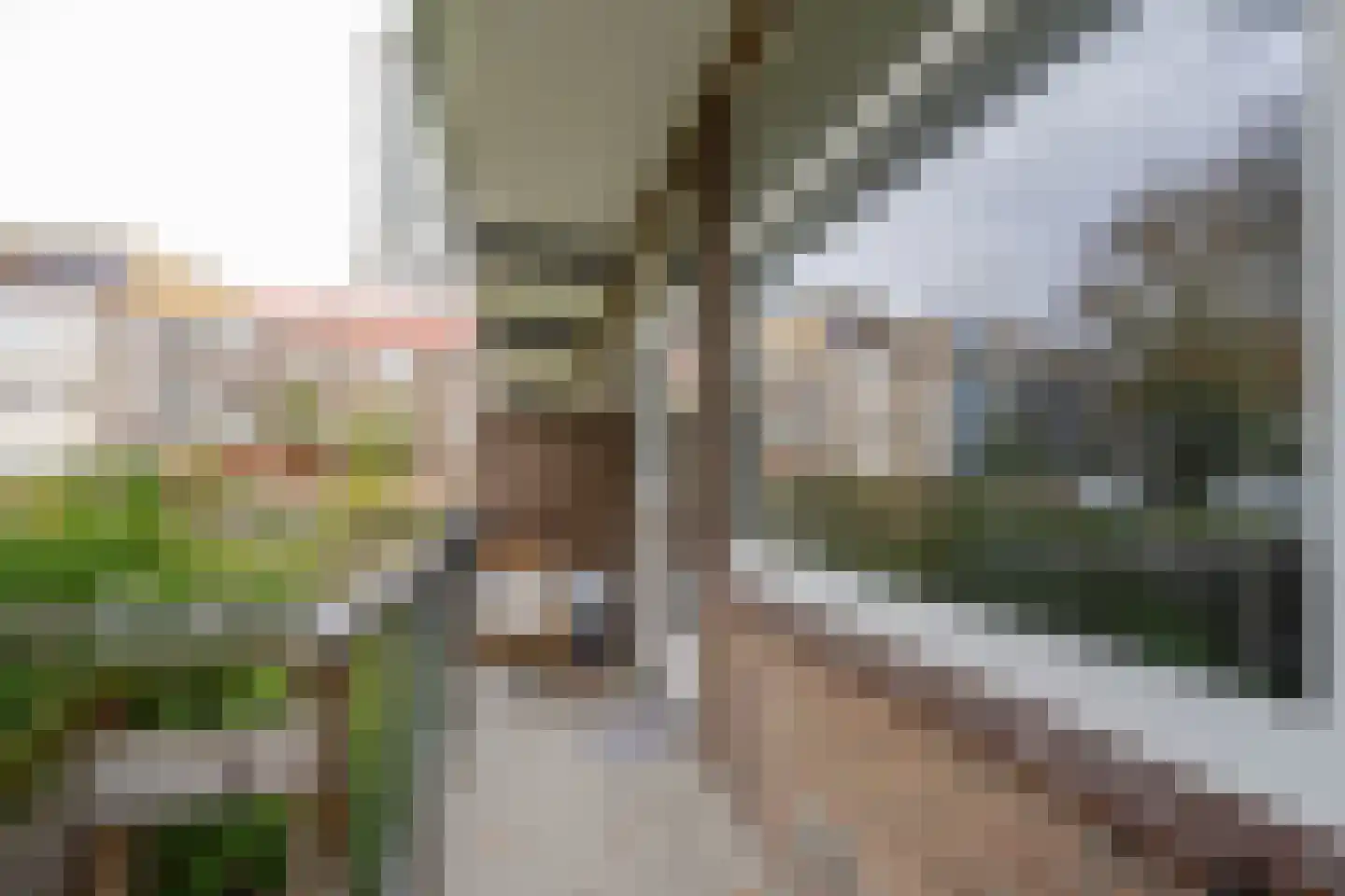 Mijnsherenlaan 45 C Rotterdam thumbnail 13