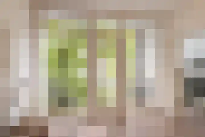 Mijnsherenlaan 50 B 01 Rotterdam thumbnail 10