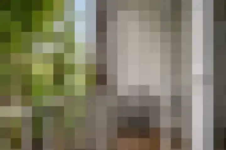 Mijnsherenlaan 50 B 01 Rotterdam thumbnail 12