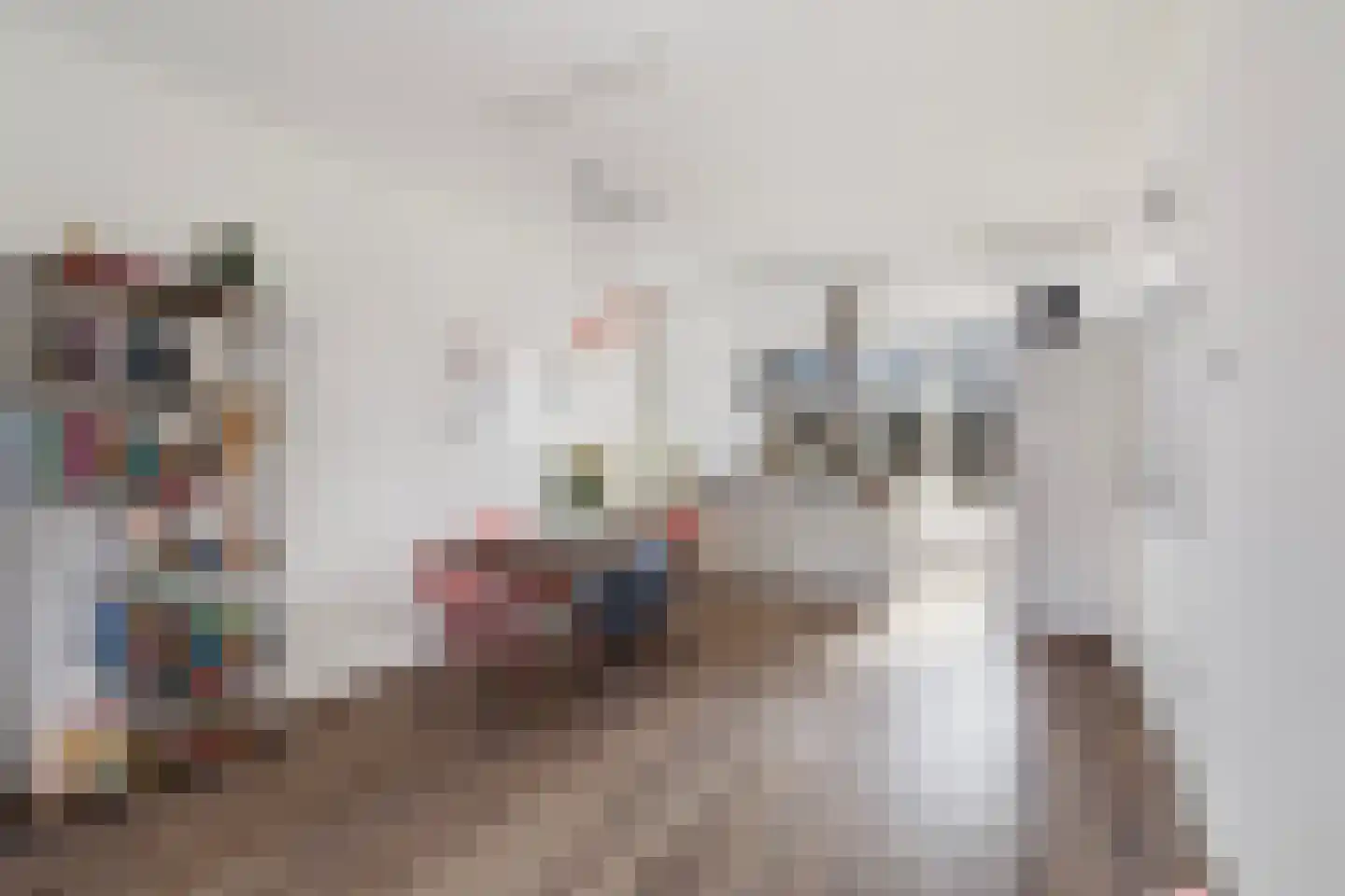 Mijnsherenlaan 50 B 01 Rotterdam thumbnail 18