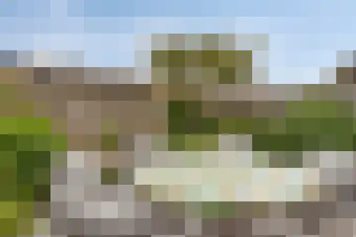 Mijnsherenlaan 50 B 01 Rotterdam thumbnail 19