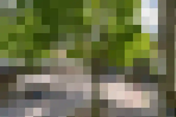 Mijnsherenlaan 50 B 01 Rotterdam thumbnail 20