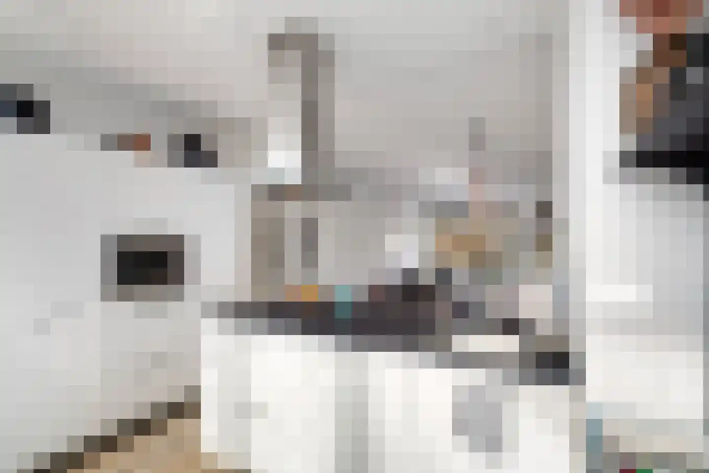 Mijnsherenlaan 50 B 01 Rotterdam thumbnail 24