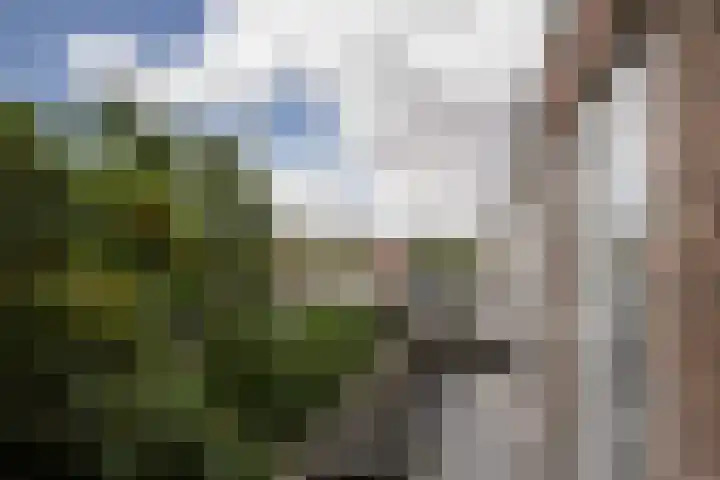 Mijnsherenlaan 50 B 01 Rotterdam thumbnail 26