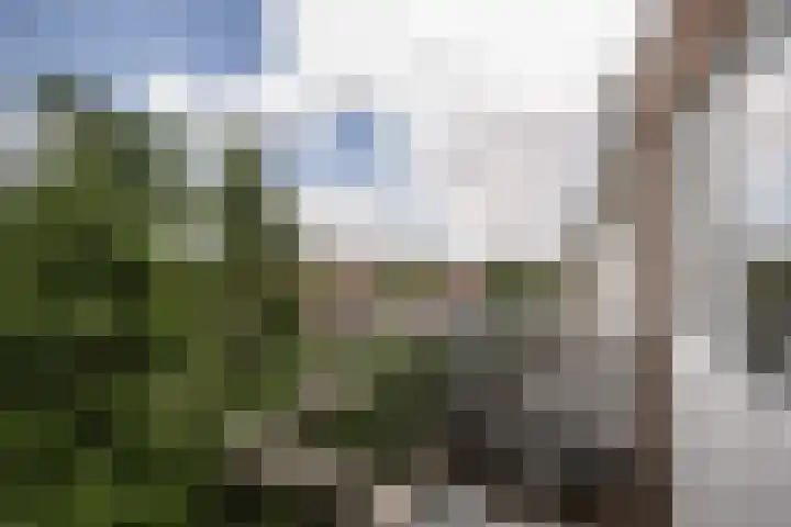 Mijnsherenlaan 50 B 01 Rotterdam thumbnail 27