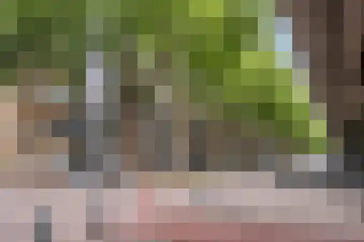 Mijnsherenlaan 50 B 01 Rotterdam thumbnail 32