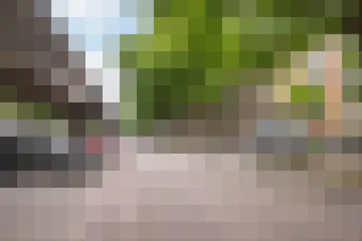 Mijnsherenlaan 50 B 01 Rotterdam thumbnail 33