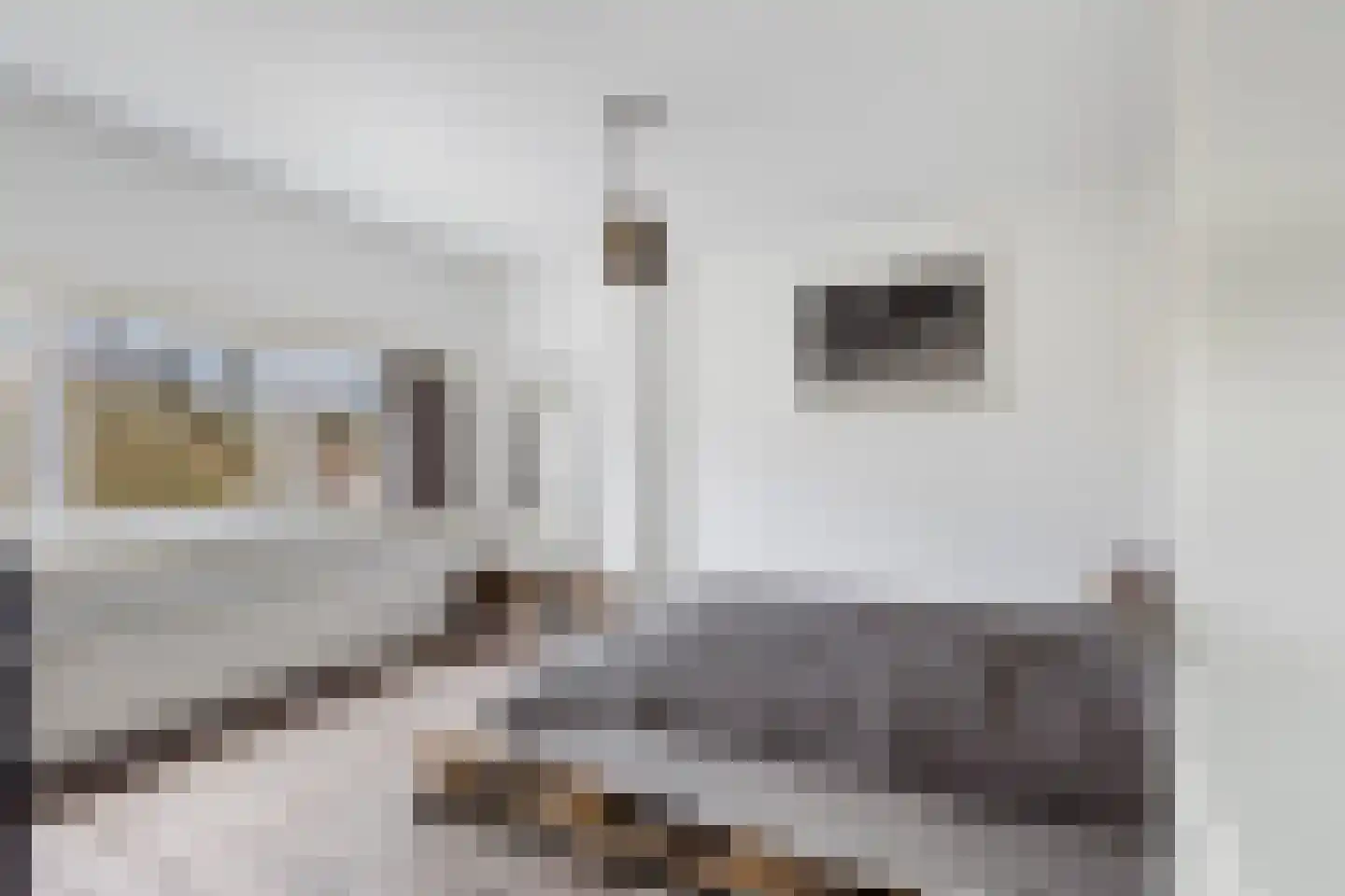 Mijnsherenlaan 50 B 01 Rotterdam thumbnail 35