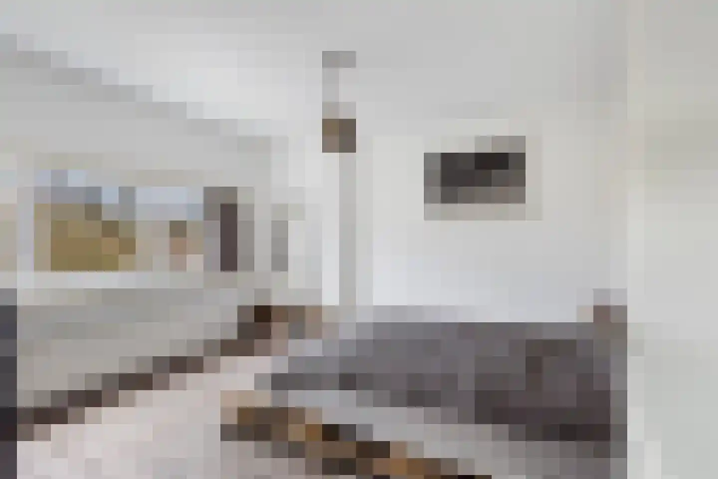 Mijnsherenlaan 50 B 01 Rotterdam thumbnail 35