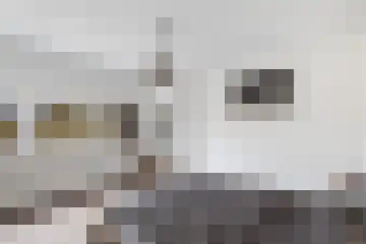 Mijnsherenlaan 50 B 01 Rotterdam thumbnail 37