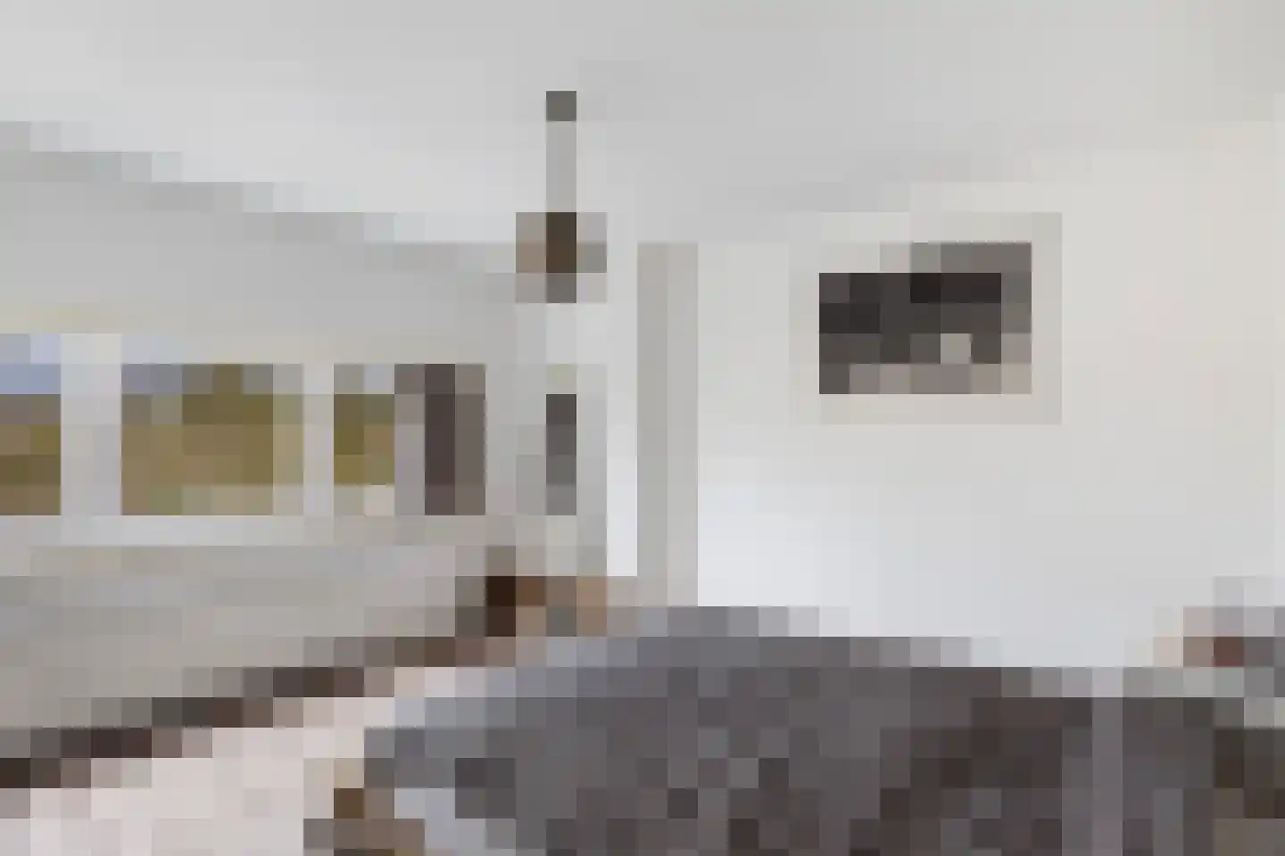 Mijnsherenlaan 50 B 01 Rotterdam thumbnail 37