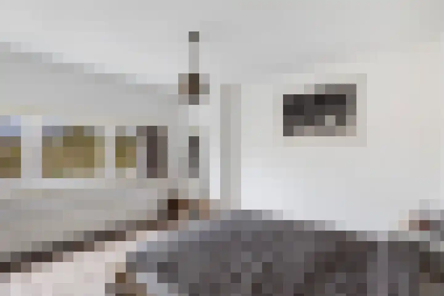 Mijnsherenlaan 50 B 01 Rotterdam thumbnail 37
