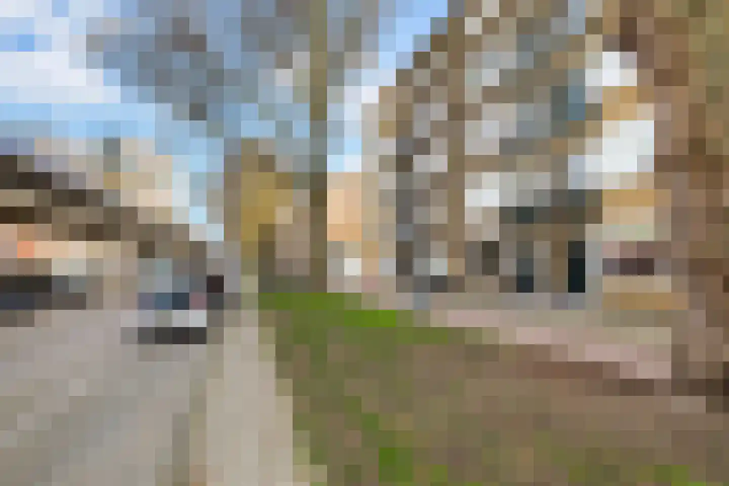Mijnsherenlaan 50 B 01 Rotterdam thumbnail 53