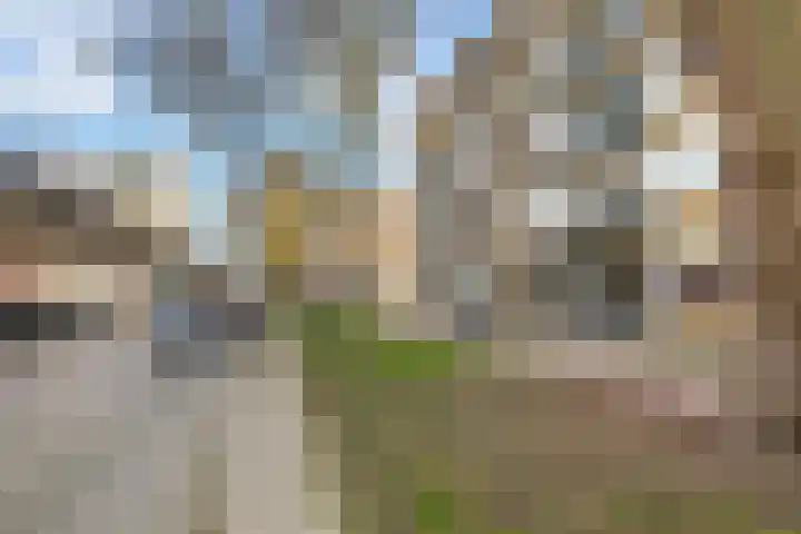 Mijnsherenlaan 50 B 01 Rotterdam thumbnail 53