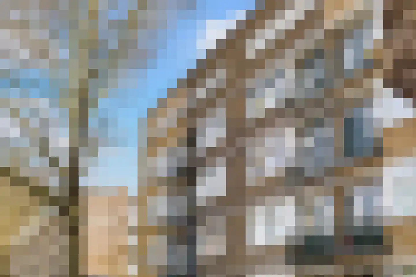 Mijnsherenlaan 50 B 01 Rotterdam thumbnail 58