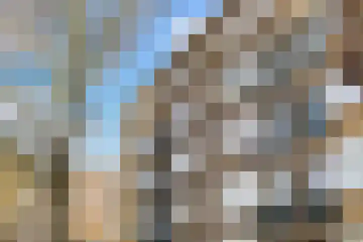 Mijnsherenlaan 50 B 01 Rotterdam thumbnail 58