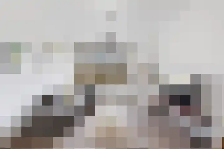 Mijnsherenlaan 50 B 01 Rotterdam thumbnail 8