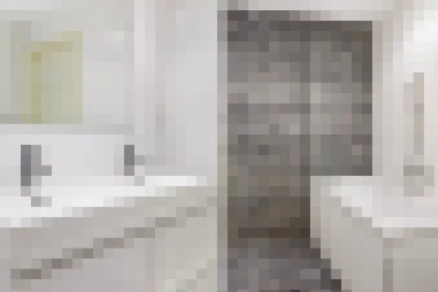 Mijnsherenlaan 50 B 03 Rotterdam thumbnail 43