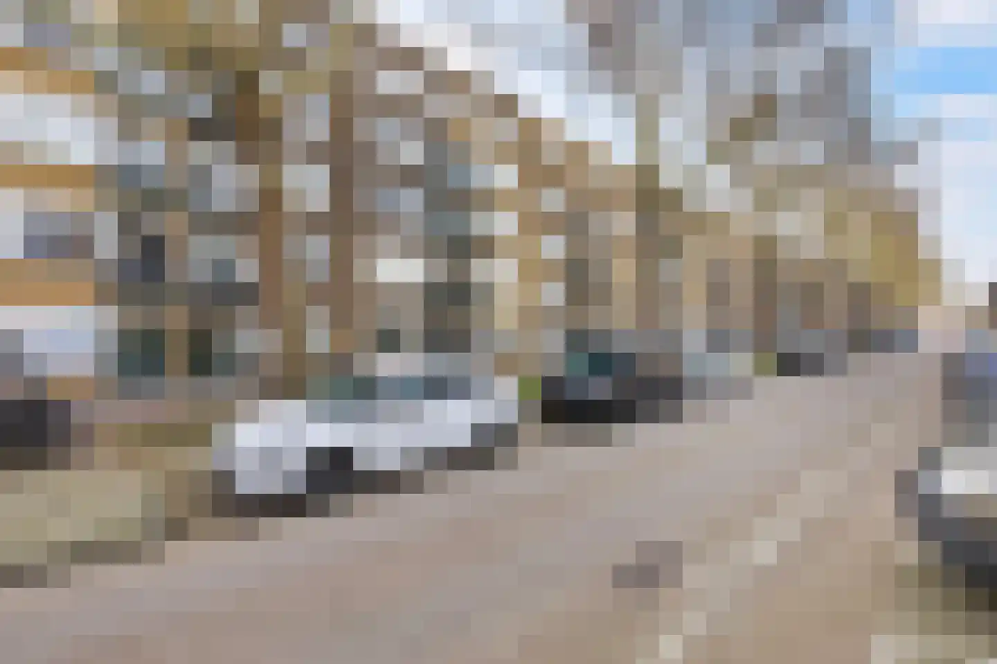 Mijnsherenlaan 50 B 03 Rotterdam thumbnail 55