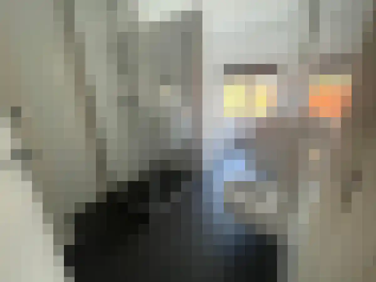 Mijnsherenlaan 53 Rotterdam thumbnail 4