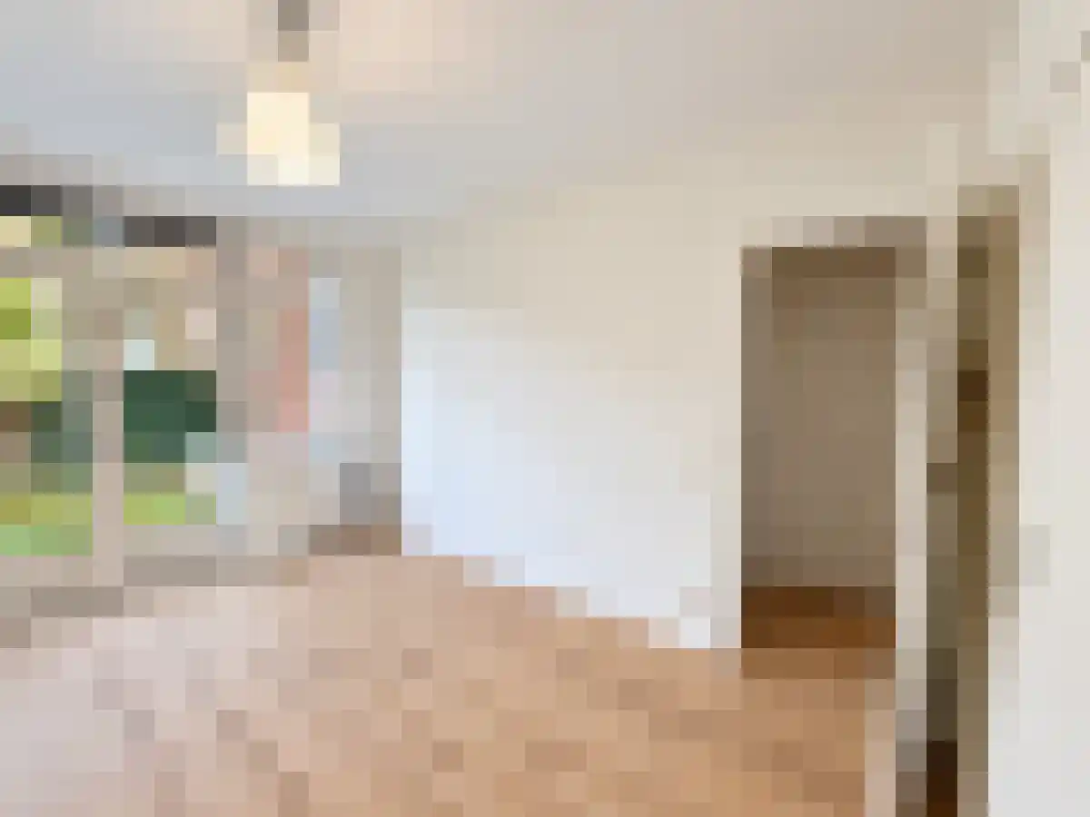 Mijnsherenlaan 55 Rotterdam thumbnail 4