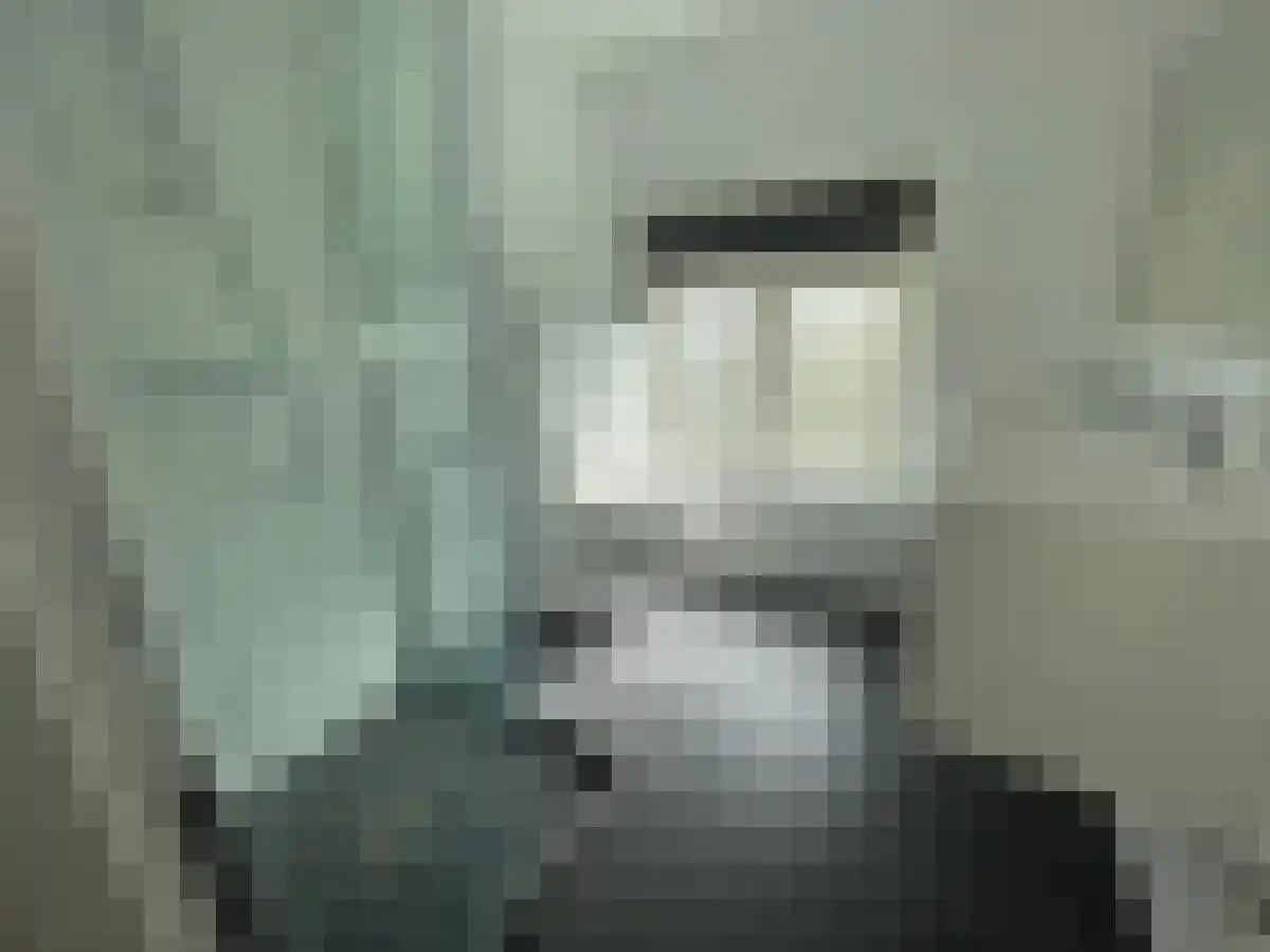 Mijnsherenlaan 55 Rotterdam thumbnail 4