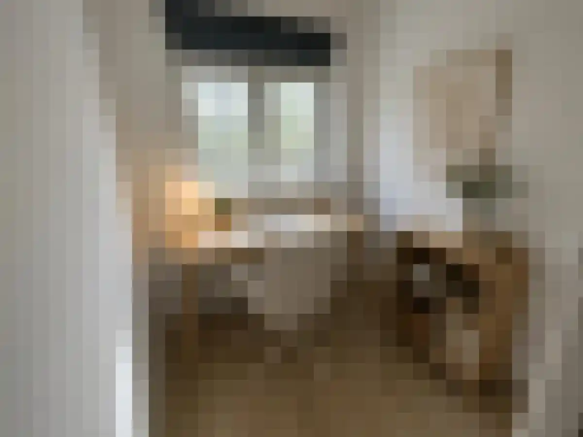 Mijnsherenlaan 55 Rotterdam thumbnail 4