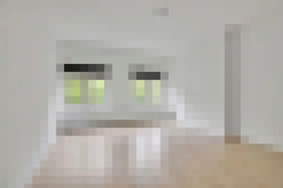 Mijnsherenlaan 55 Rotterdam thumbnail 4