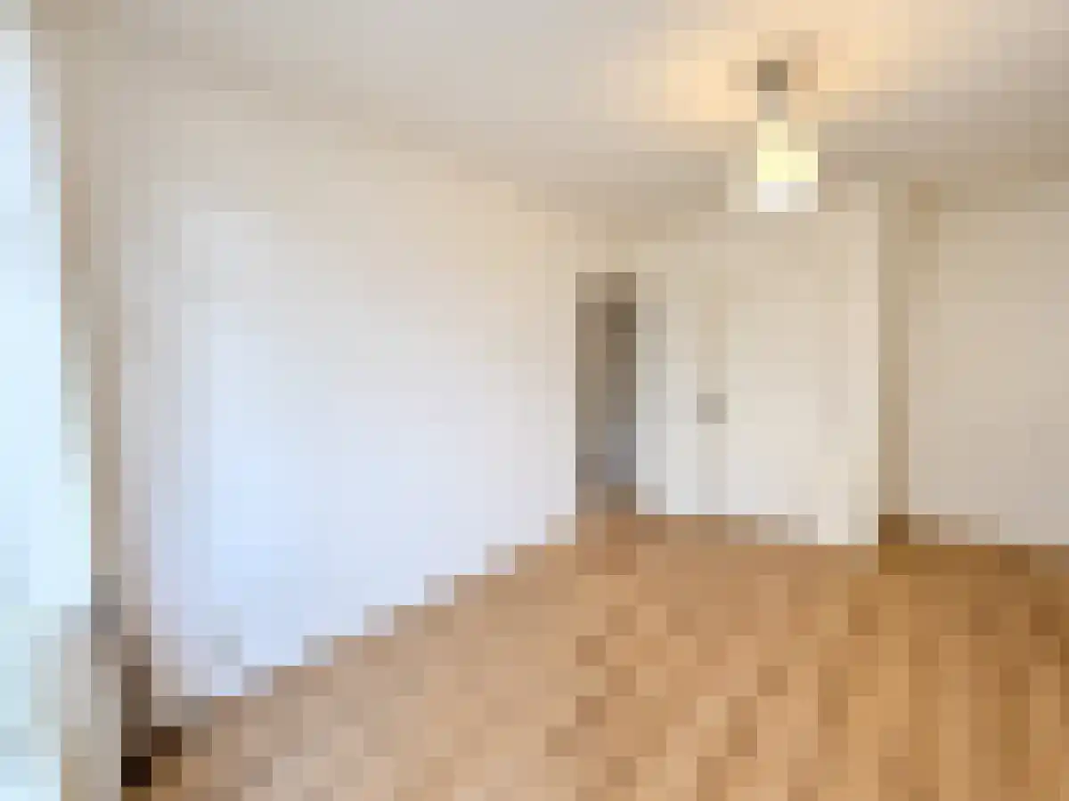 Mijnsherenlaan 55 Rotterdam thumbnail 5