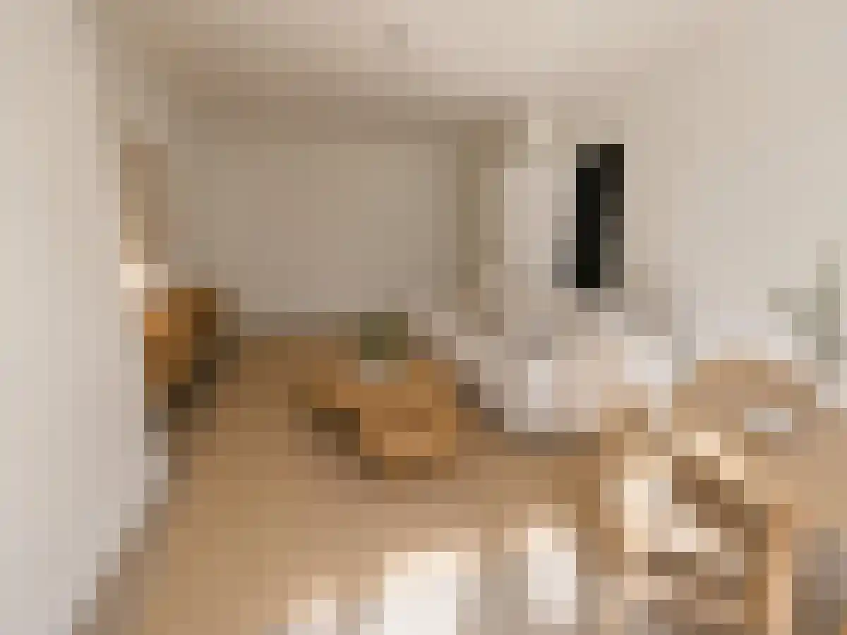 Mijnsherenlaan 55 Rotterdam thumbnail 5