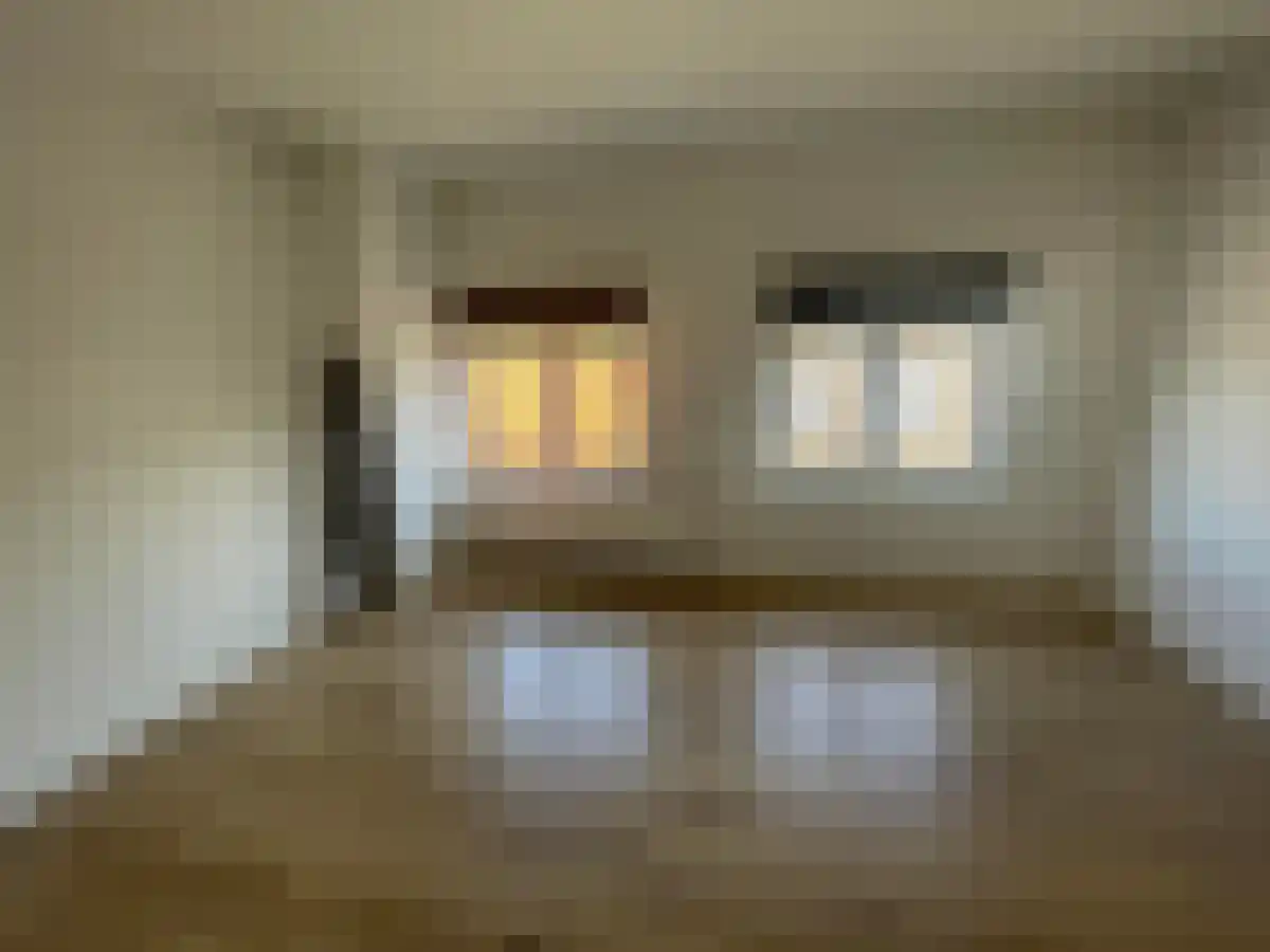Mijnsherenlaan 55 Rotterdam thumbnail 6