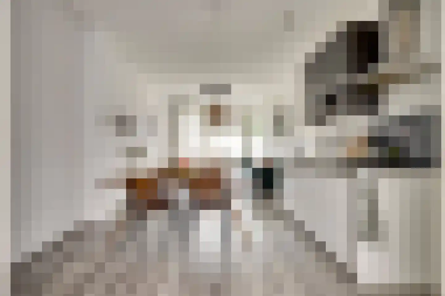 Mijnsherenlaan 60 D Rotterdam thumbnail 6