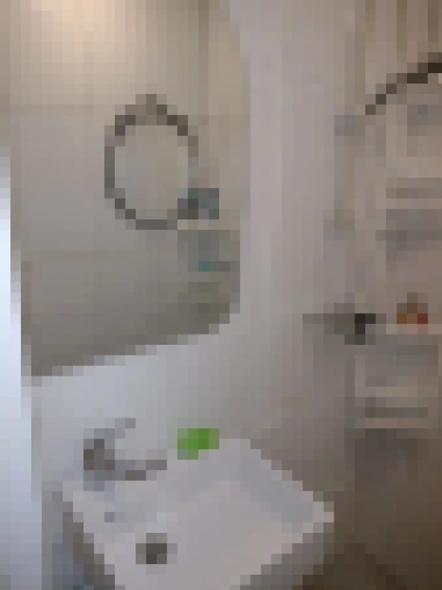 Mijnsherenlaan 60 D Rotterdam thumbnail 8