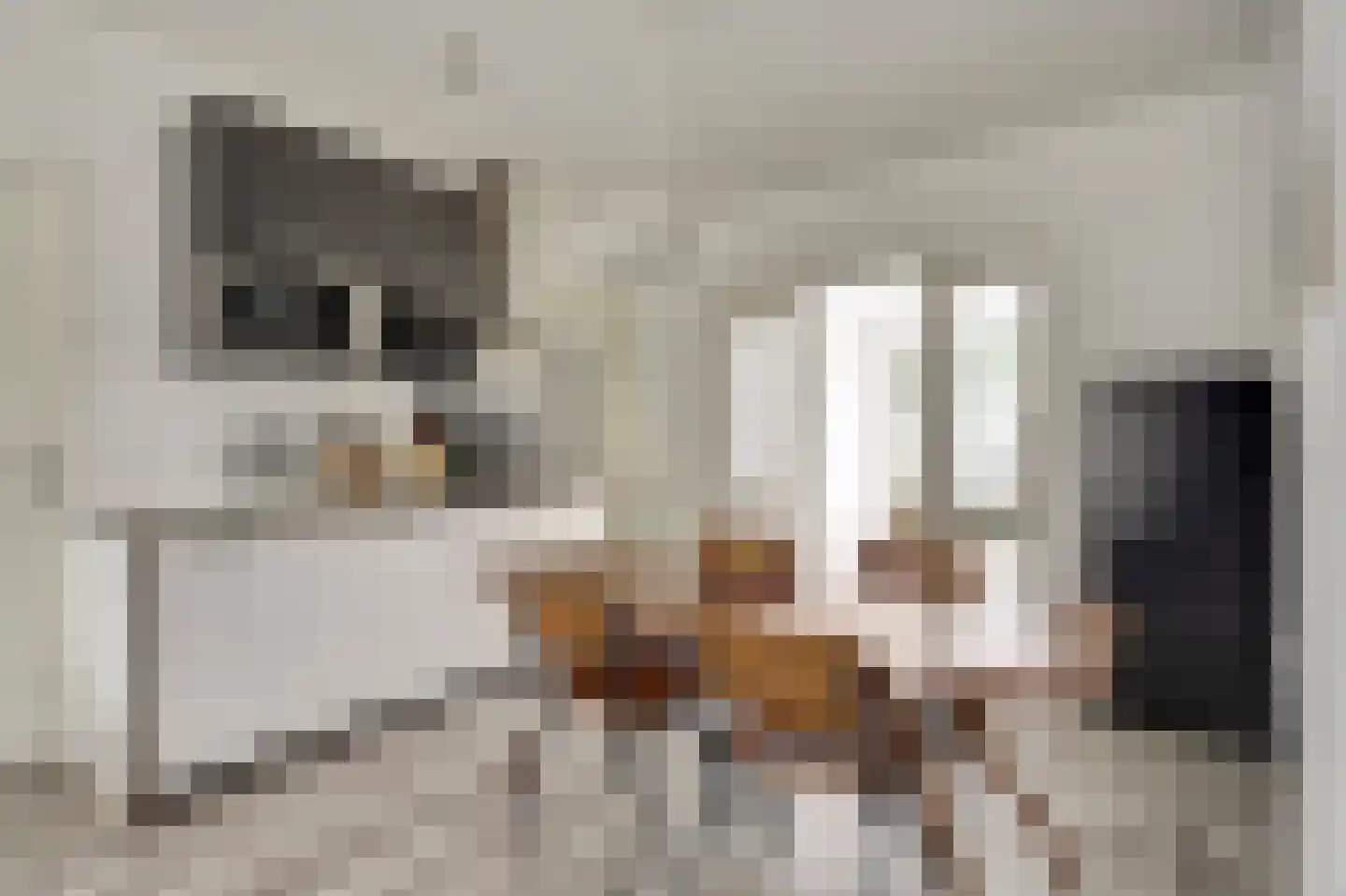 Mijnsherenlaan 60 D Rotterdam thumbnail 8