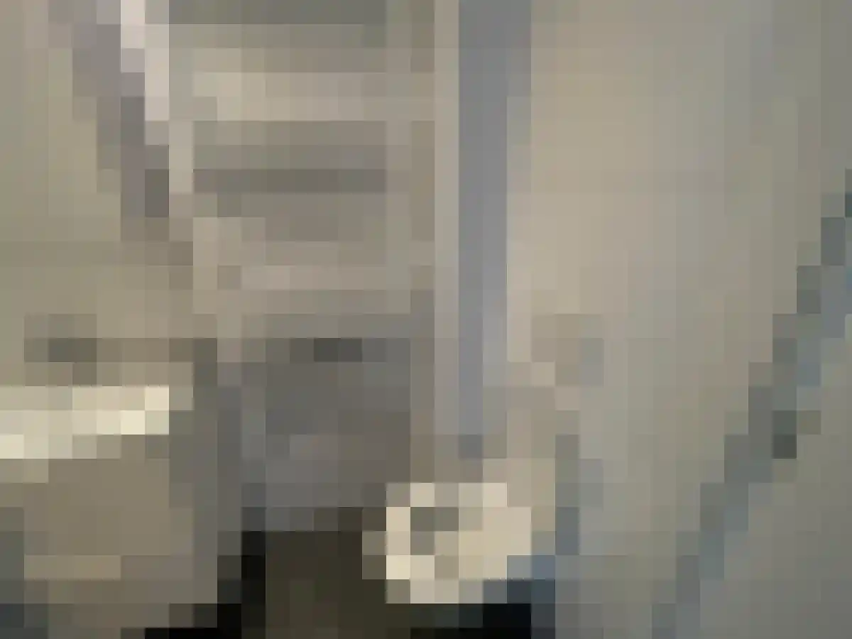 Mijnsherenlaan 61 Rotterdam thumbnail 4